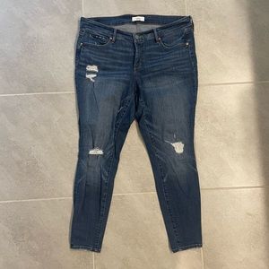 LOFT Plus Skinny Jeans in Medium Wash